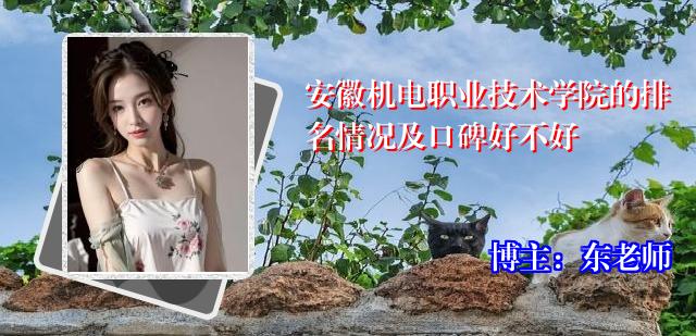 安徽机电职业技术学院的排名情况及口碑好不好