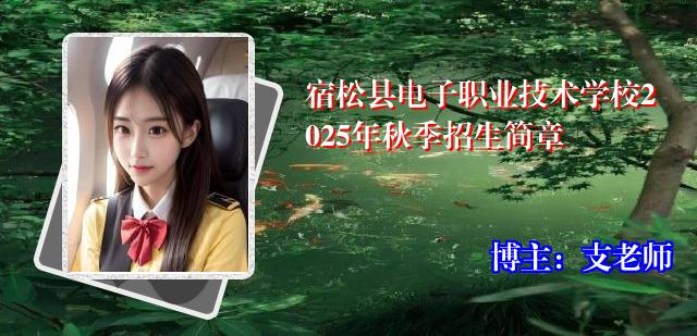 宿松县电子职业技术学校2025年秋季招生简章