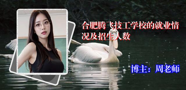 合肥腾飞技工学校的就业情况及招生人数