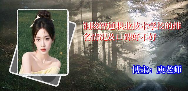 铜陵智通职业技术学校的排名情况及口碑好不好