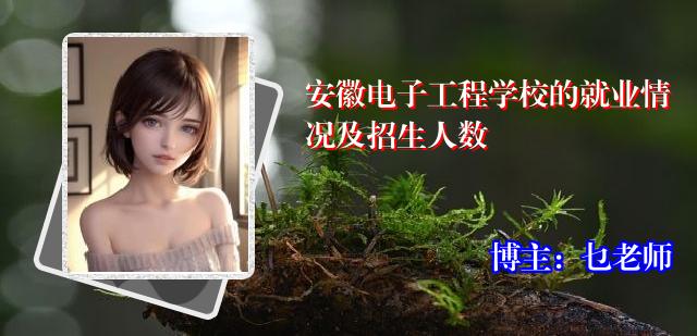 安徽电子工程学校的就业情况及招生人数