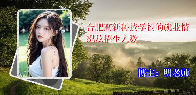 合肥高新科技学校的就业情况及招生人数