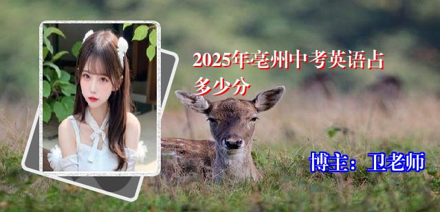 2025年亳州中考英语占多少分