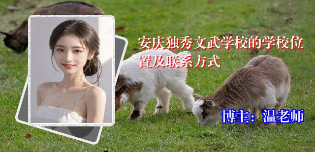 安庆独秀文武学校的学校位置及联系方式