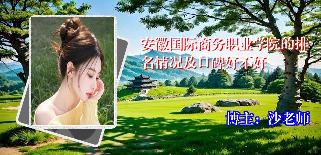 安徽国际商务职业学院的排名情况及口碑好不好