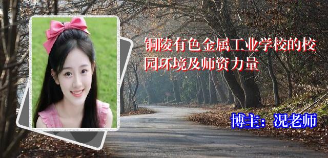 铜陵有色金属工业学校的校园环境及师资力量