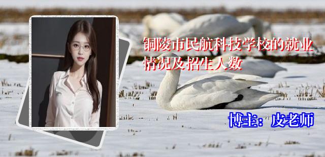 铜陵市民航科技学校的就业情况及招生人数