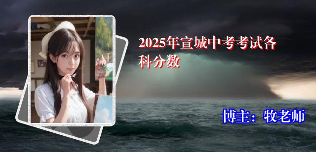 2025年宣城中考考试各科分数