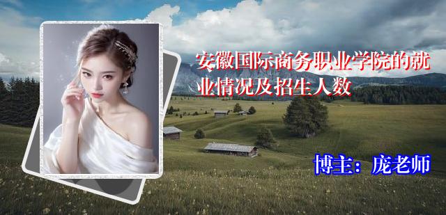 安徽国际商务职业学院的就业情况及招生人数