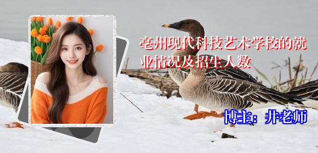 亳州现代科技艺术学校的就业情况及招生人数