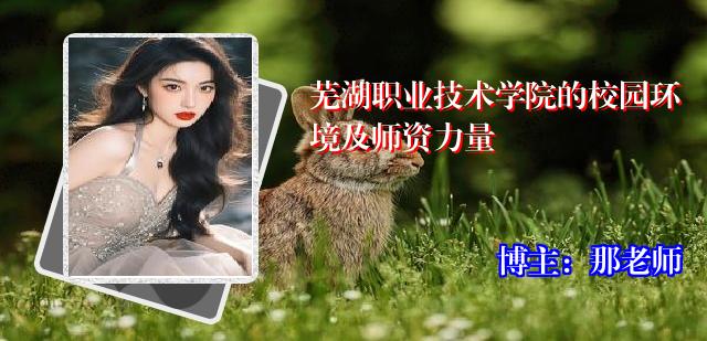 芜湖职业技术学院的校园环境及师资力量