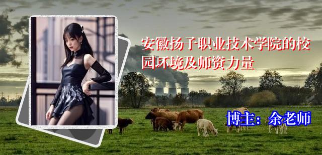 安徽扬子职业技术学院的校园环境及师资力量