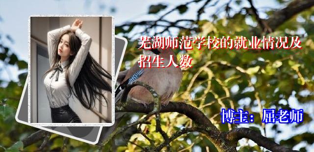 芜湖师范学校的就业情况及招生人数