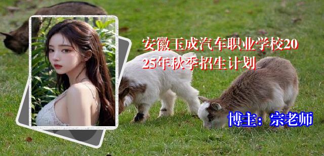安徽玉成汽车职业学校2025年秋季招生计划