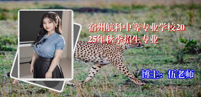 宿州航科中等专业学校2025年秋季招生专业