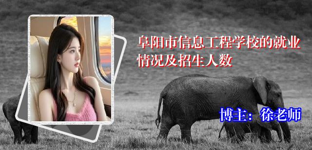 阜阳市信息工程学校的就业情况及招生人数