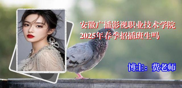 安徽广播影视职业技术学院2025年春季招插班生吗