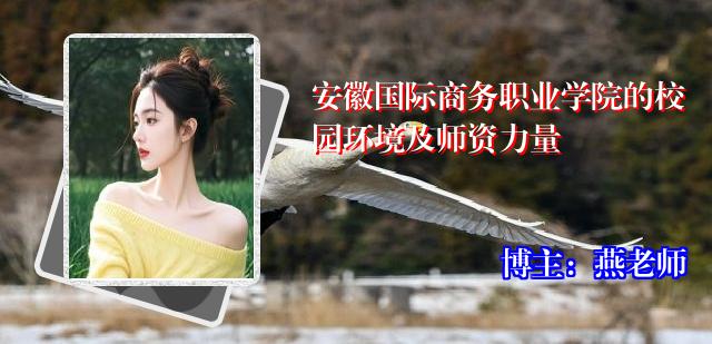 安徽国际商务职业学院的校园环境及师资力量