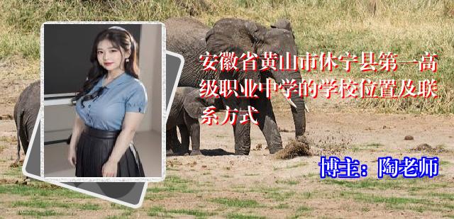 安徽省黄山市休宁县第一高级职业中学的学校位置及联系方式