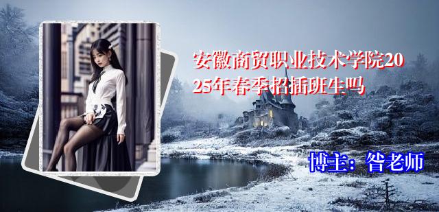 安徽商贸职业技术学院2025年春季招插班生吗