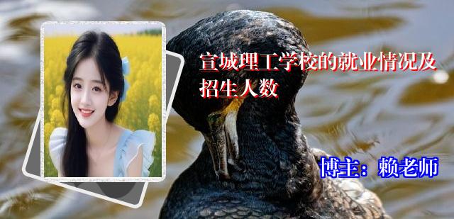 宣城理工学校的就业情况及招生人数