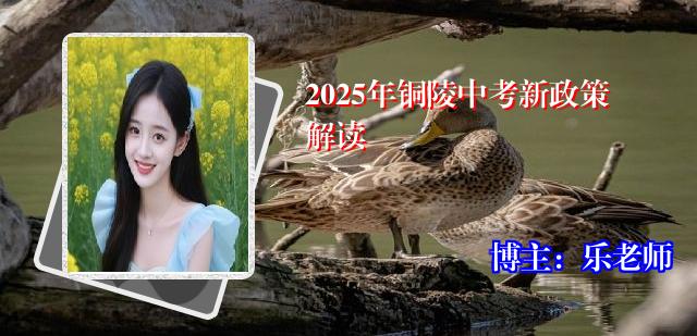 2025年铜陵中考新政策解读