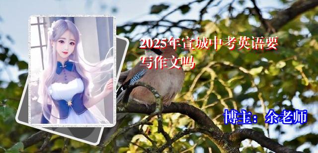 2025年宣城中考英语要写作文吗