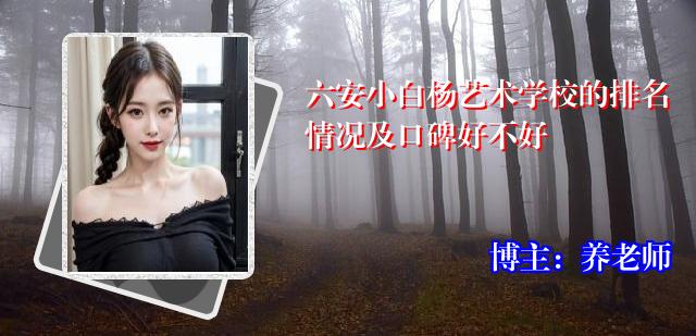 六安小白杨艺术学校的排名情况及口碑好不好