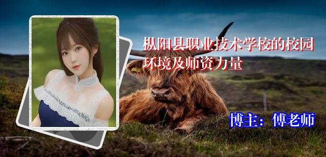枞阳县职业技术学校的校园环境及师资力量