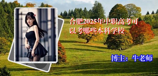 合肥2025年中职高考可以考哪些本科学校