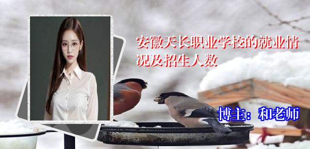 安徽天长职业学校的就业情况及招生人数