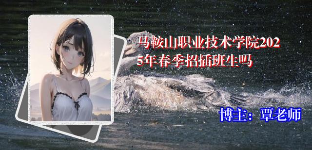 马鞍山职业技术学院2025年春季招插班生吗