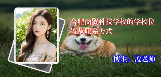 合肥商贸科技学校的学校位置及联系方式