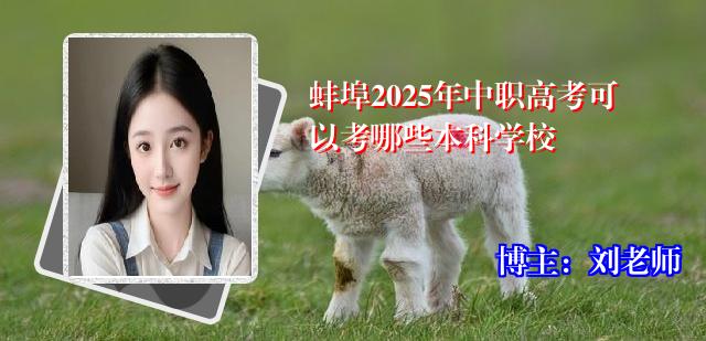 蚌埠2025年中职高考可以考哪些本科学校