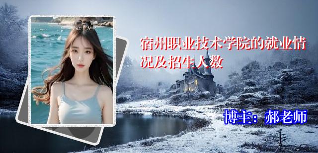 宿州职业技术学院的就业情况及招生人数
