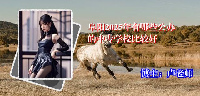 阜阳2025年有哪些公办的中专学校比较好