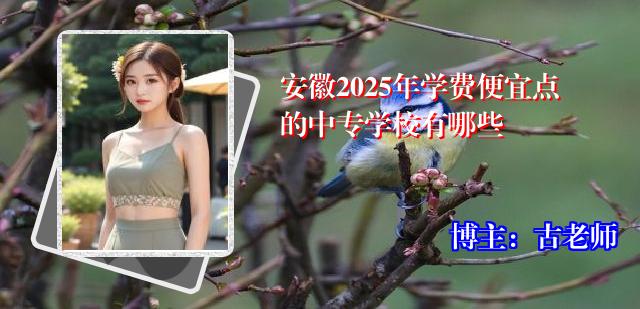 安徽2025年学费便宜点的中专学校有哪些