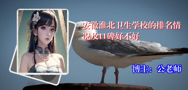安徽淮北卫生学校的排名情况及口碑好不好