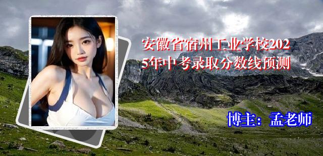 安徽省宿州工业学校2025年中考录取分数线预测