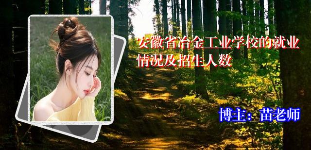 安徽省冶金工业学校的就业情况及招生人数