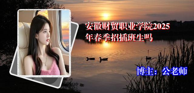 安徽财贸职业学院2025年春季招插班生吗