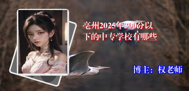 亳州2025年300分以下的中专学校有哪些