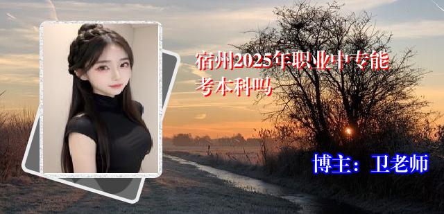 宿州2025年职业中专能考本科吗