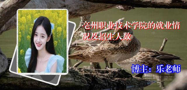 亳州职业技术学院的就业情况及招生人数