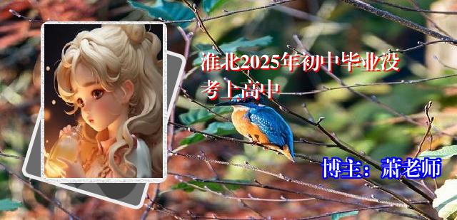 淮北2025年初中毕业没考上高中