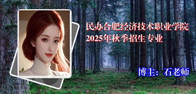 民办合肥经济技术职业学院2025年秋季招生专业
