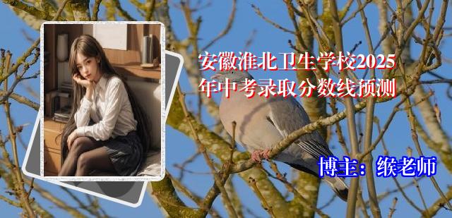 安徽淮北卫生学校2025年中考录取分数线预测