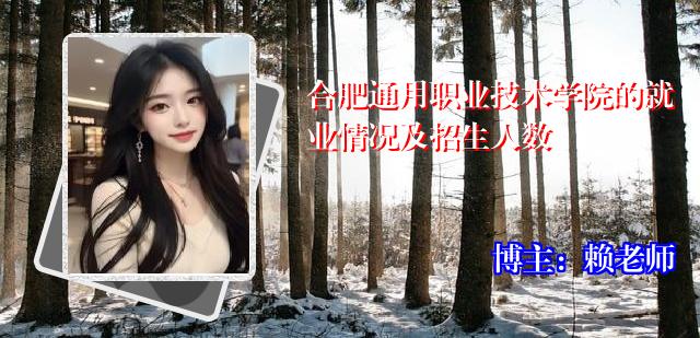 合肥通用职业技术学院的就业情况及招生人数