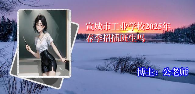 宣城市工业学校2025年春季招插班生吗