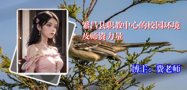 繁昌县职教中心的校园环境及师资力量